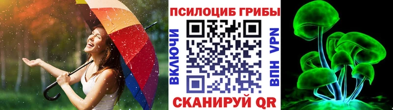 Псилоцибиновые грибы мицелий  гидра сайт  Санкт-Петербург 